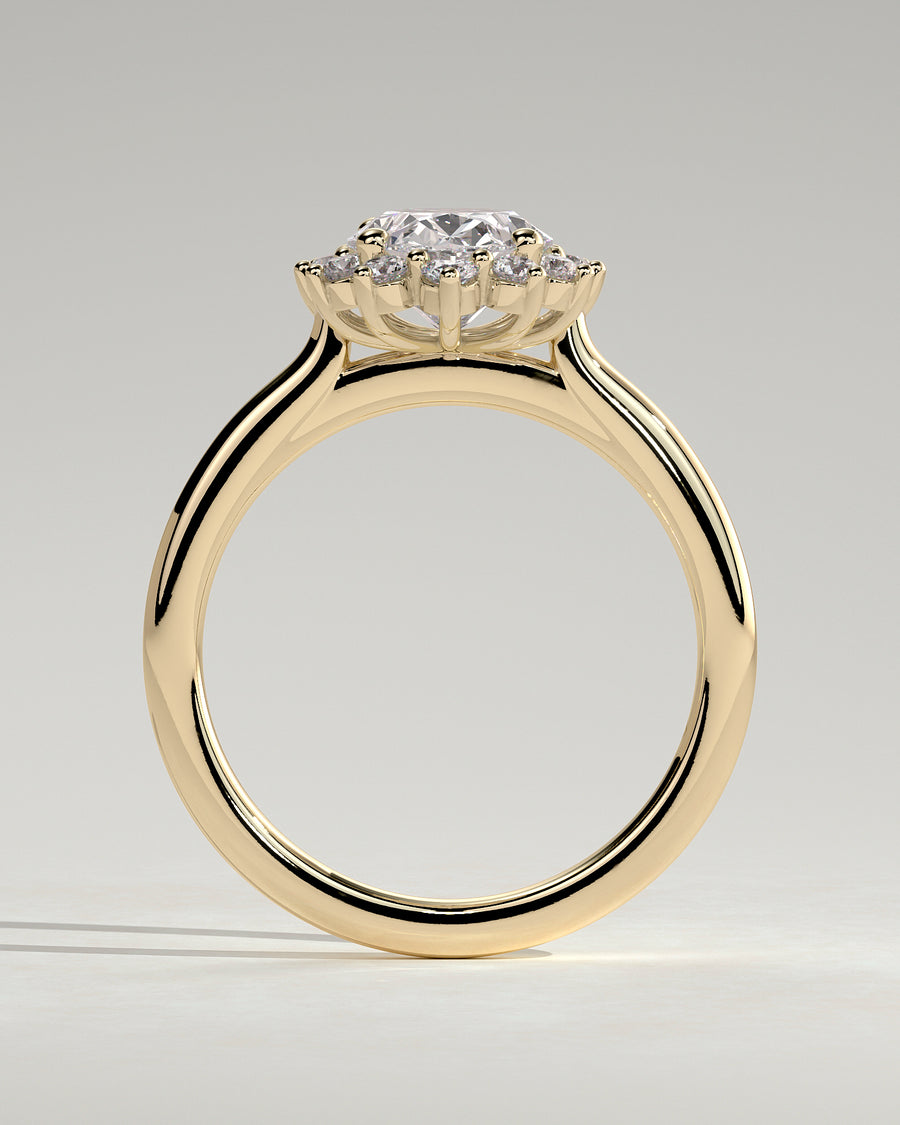 Arielle 18k Yellow Gold 011