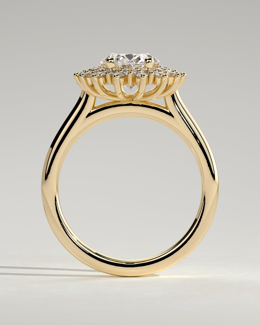 Savannah 18k Yellow Gold 011