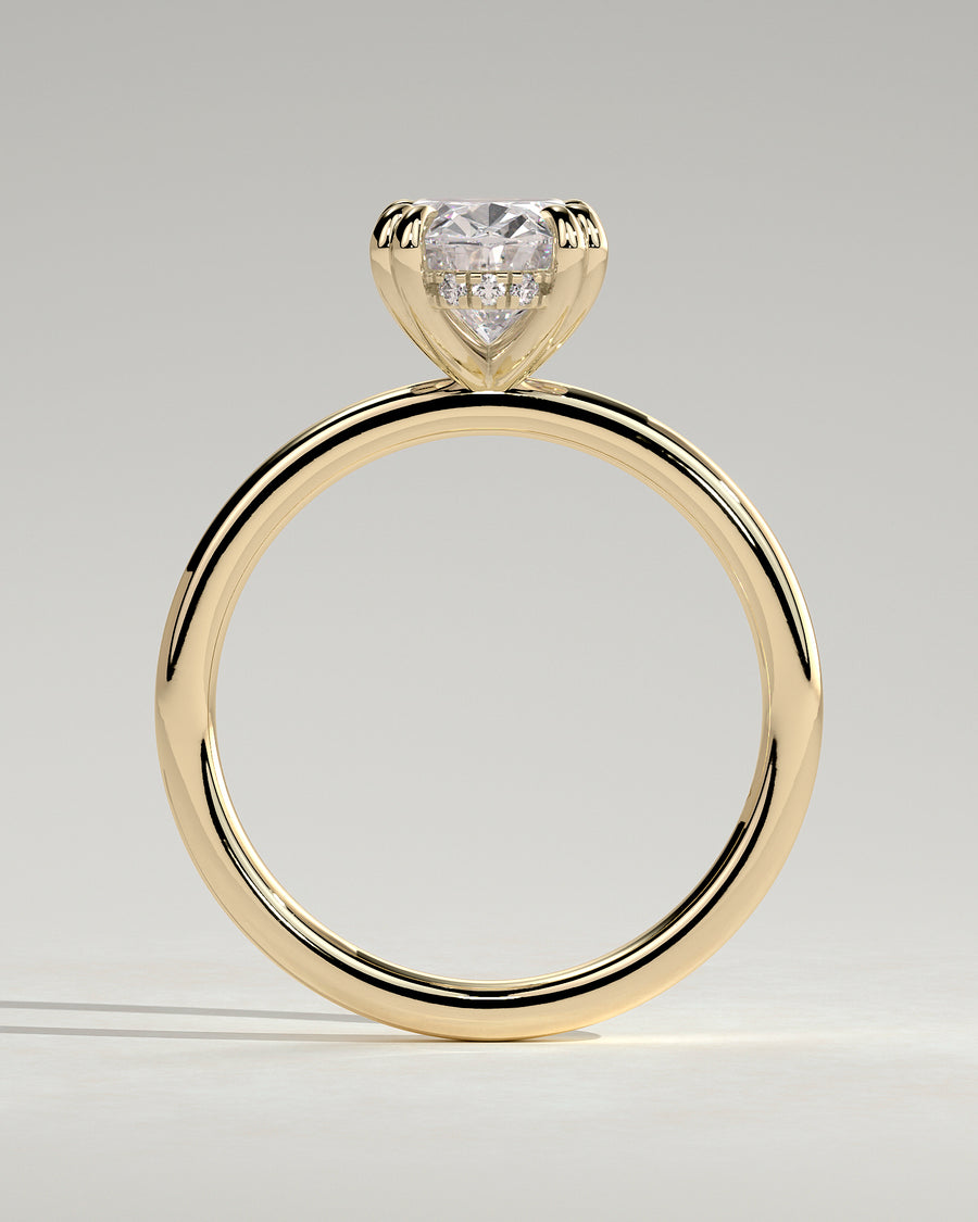 Avery 18k Yellow Gold 011