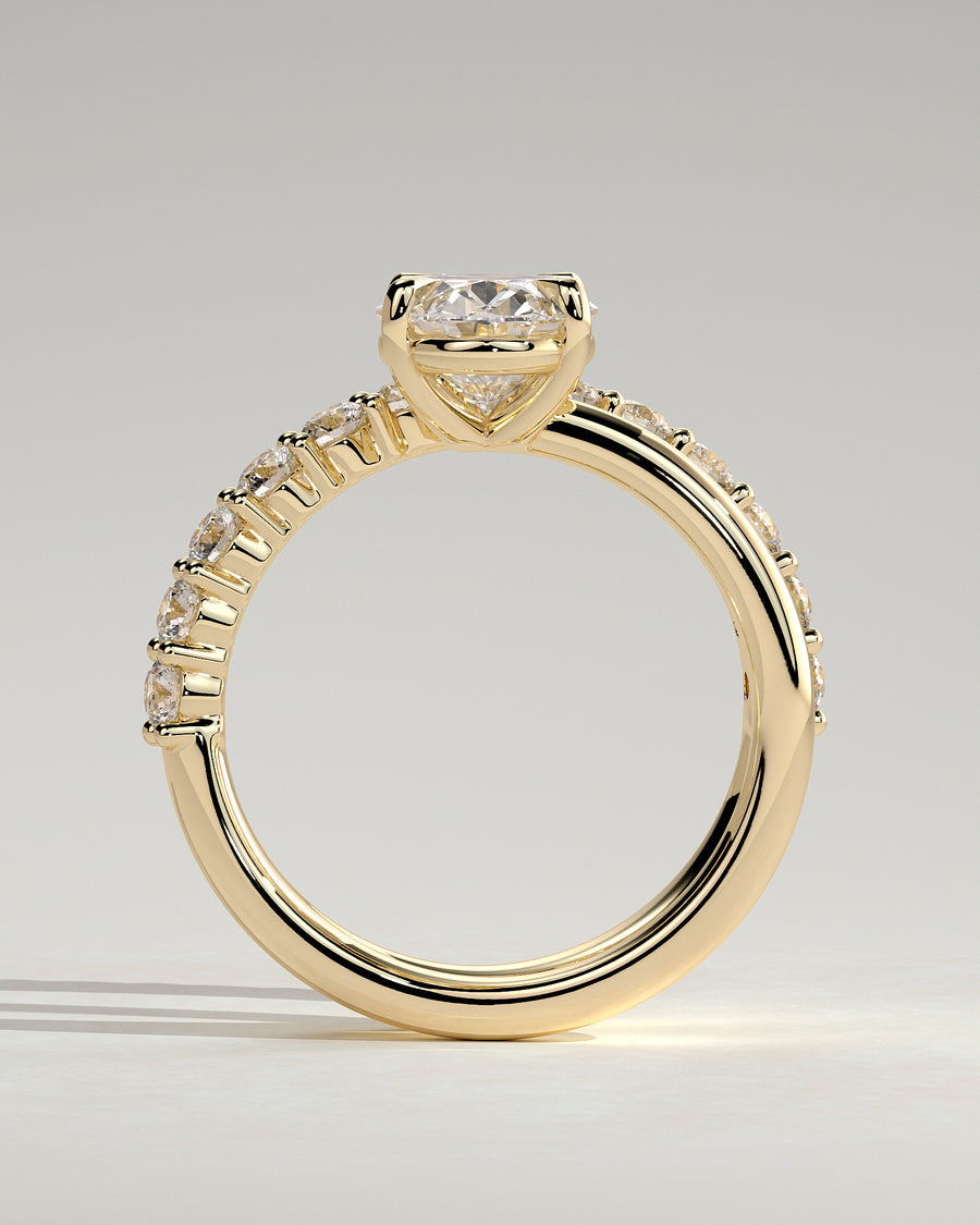 Sevela 18k Yellow Gold 011