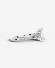 Mun Platinum 005