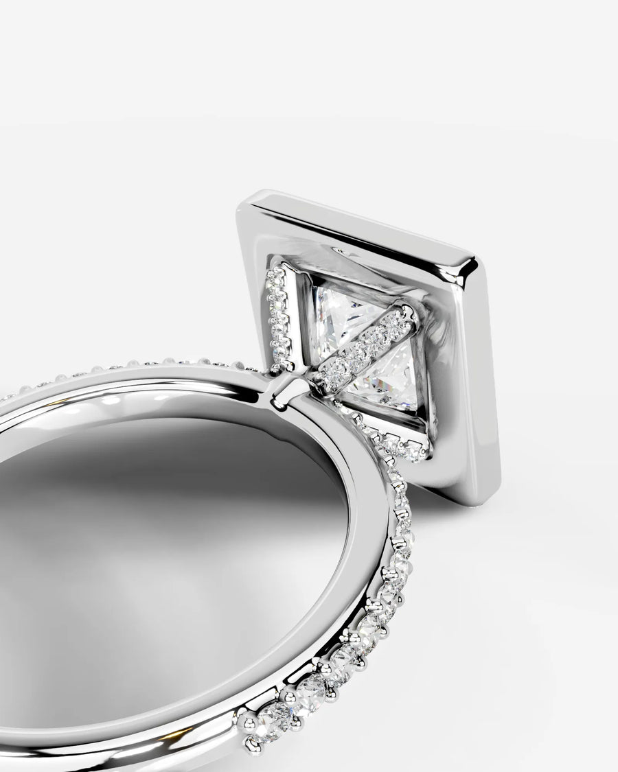 Paula (Princess) Platinum 004