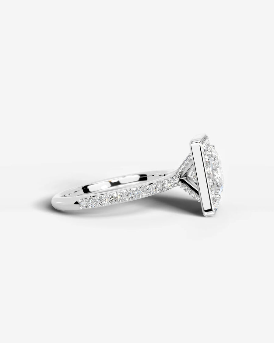 Paula (Princess) Platinum 005