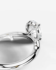 Nature's Embrace Platinum 004