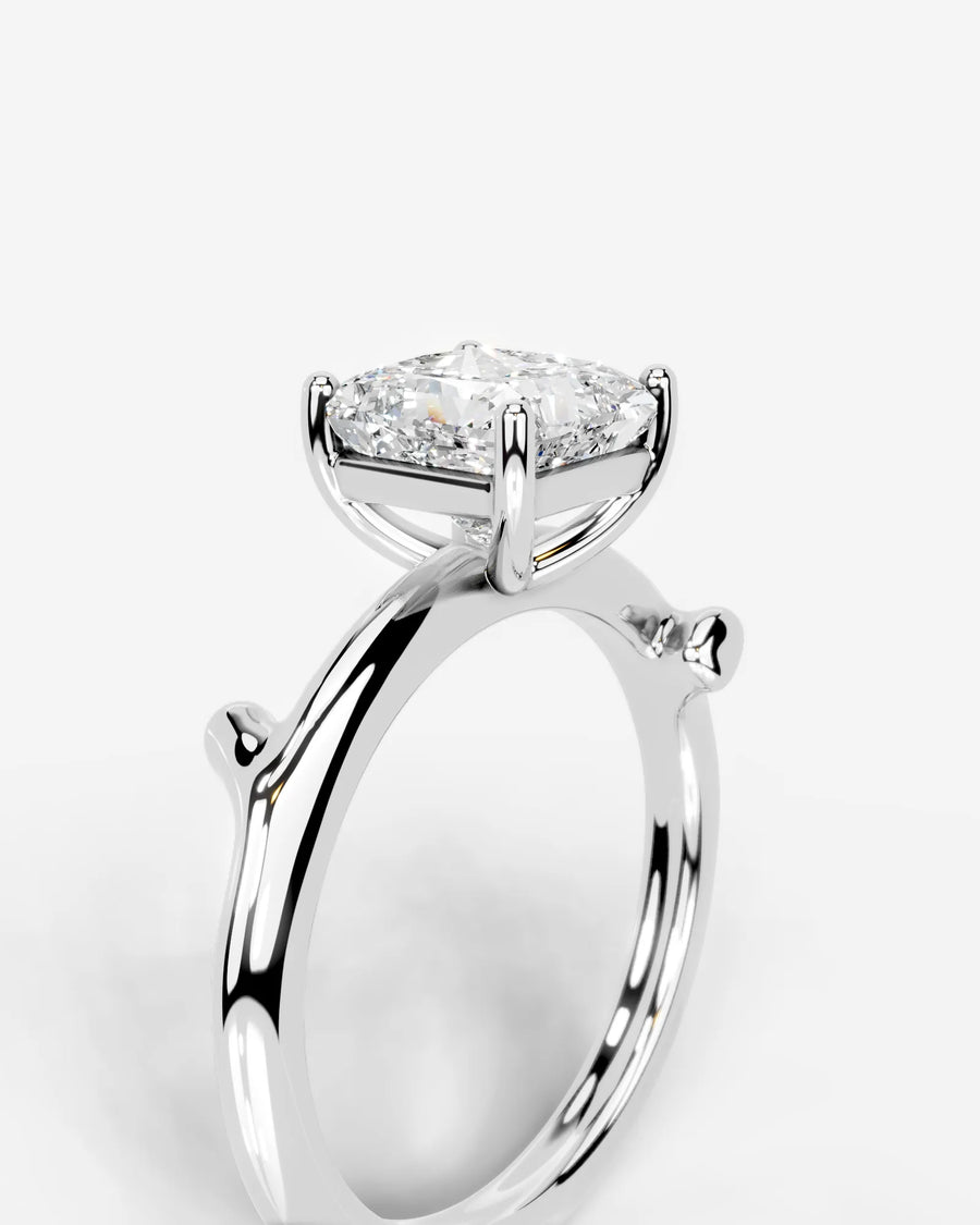 Nature's Embrace (Princess) Platinum 003