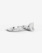 Nature's Embrace (Princess) Platinum 005