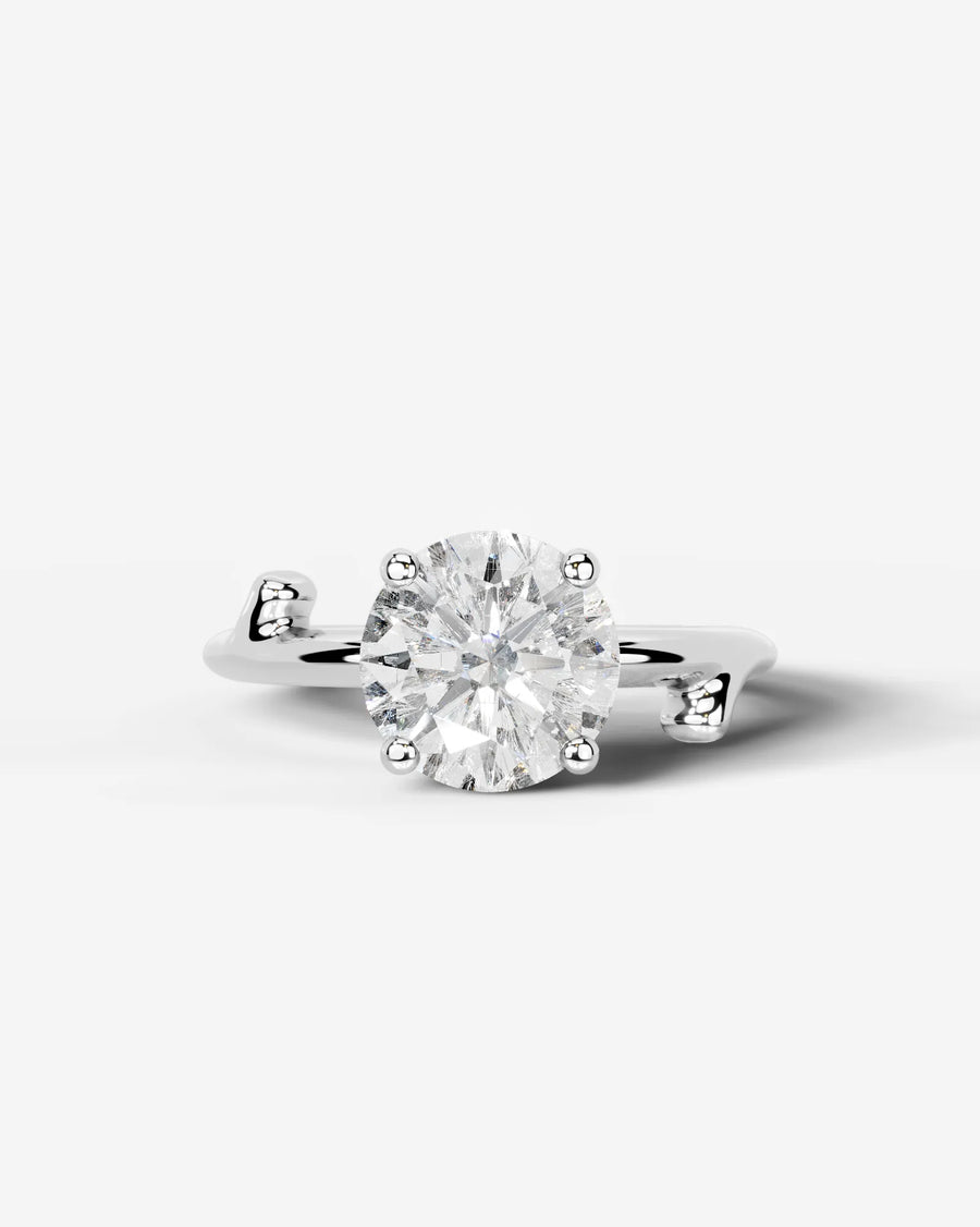 Nature's Embrace (Round) 14k White Gold 001