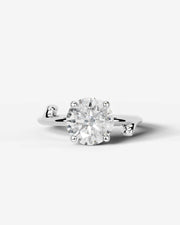 Nature's Embrace (Round) Platinum 001