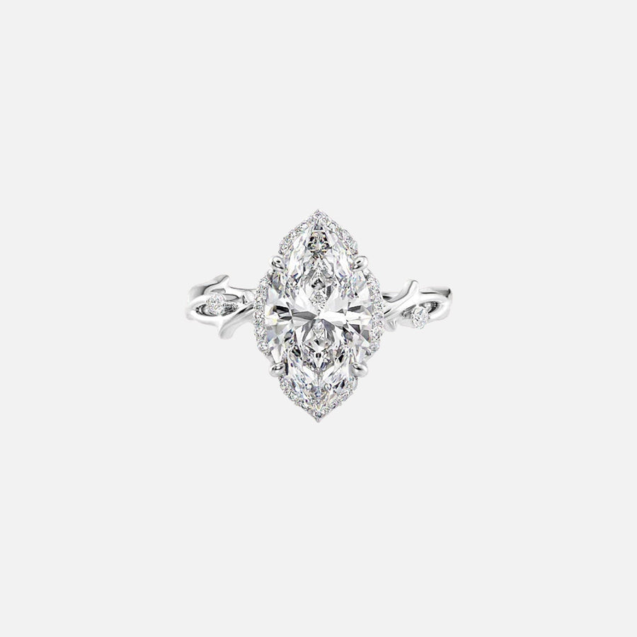  The Halo Twig Marquise Moissanite Ring 18k White Gold 001