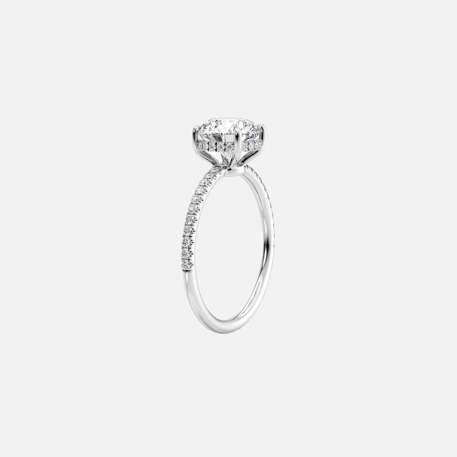  The Pave Low Profile Kamellie Princess Moissanite Ring 14k White Gold 002
