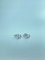 10k White-Gold Earrings