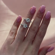 The Hidden Halo Marianne Round Pave Moissanite Ring